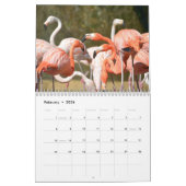 Flamants roses calendrier 12 mois (Feb 2026)