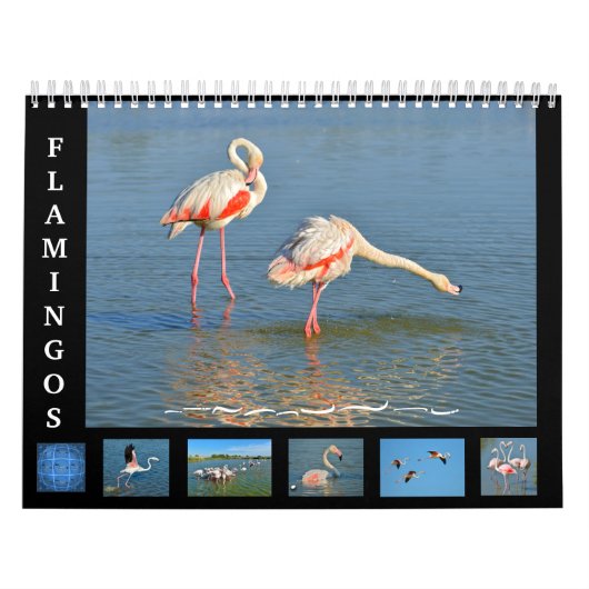 Flamants roses calendrier de 12 mois (Protection)