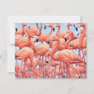 Flamants roses, Carte de vœux