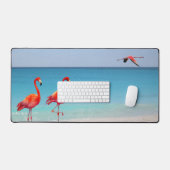 Flamants roses corail de Floride  (Clavier et souris)