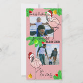 Flamants roses Jolly / Carte de voeux photo (Devant)