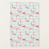 Flamants roses Rétro Sur Bandes De Monnaie (Devant)