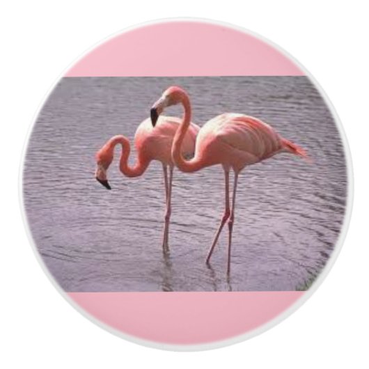 Flamants roses roses sur les boutons en céramique (Devant)
