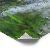 Flamboyan Tree, Caribisch gebied, Puerto Rico Poster (Hoek)