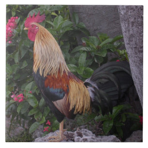 Flamboyant Rooster trivet Tegeltje