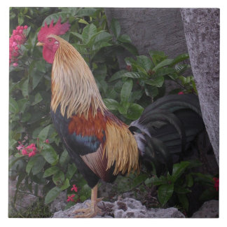 Flamboyant Rooster trivet Tegeltje
