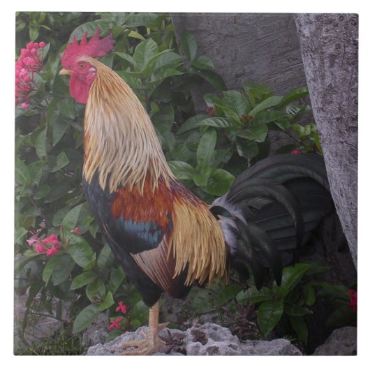 Flamboyant Rooster trivet Tegeltje (Voorkant)