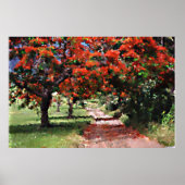 Flamboyollen Poster (Voorkant)