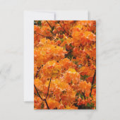 Flame Azalea Flowers Kaart (Voorkant)