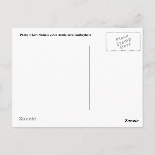 Flame Azalea Spring Post Card Briefkaart (Achterkant)