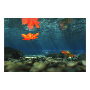 Flame in water Foto afdrukken Foto Afdruk