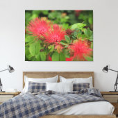 Flame Mimosa boom bloeit uitgerekt canvas Print (Insitu (Slaapkamer))