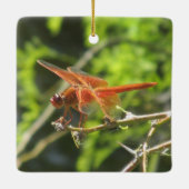 Flame Skimmer Dragonfly Keramisch Ornament (Achterkant)