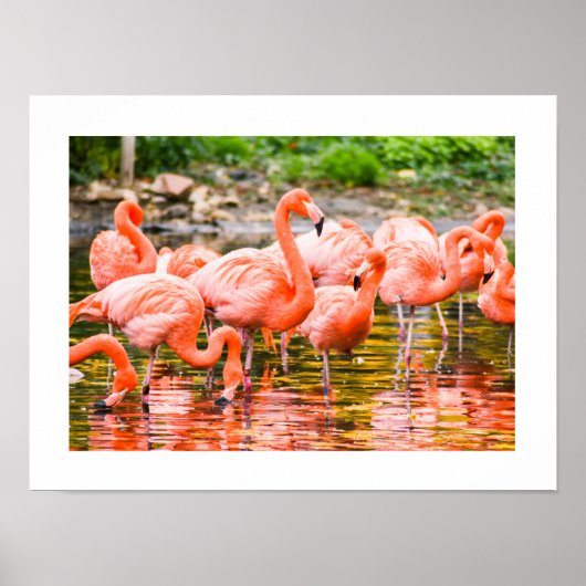 Flamengo Poster (Voorkant)