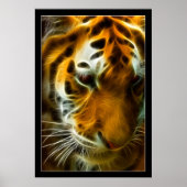 Flaming Tiger Poster (Voorkant)