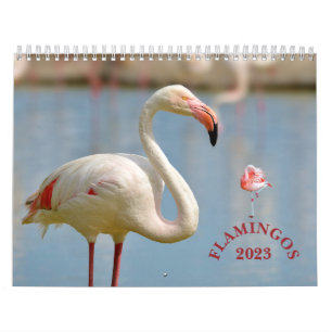 Flamingkalender Kalender