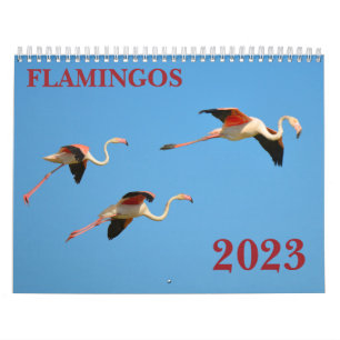 Flamingkalender Kalender