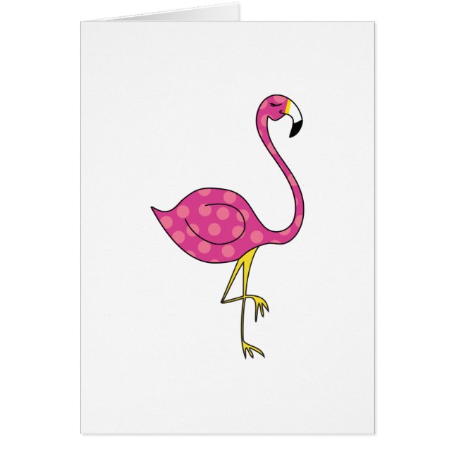 flamingo (Voorkant)