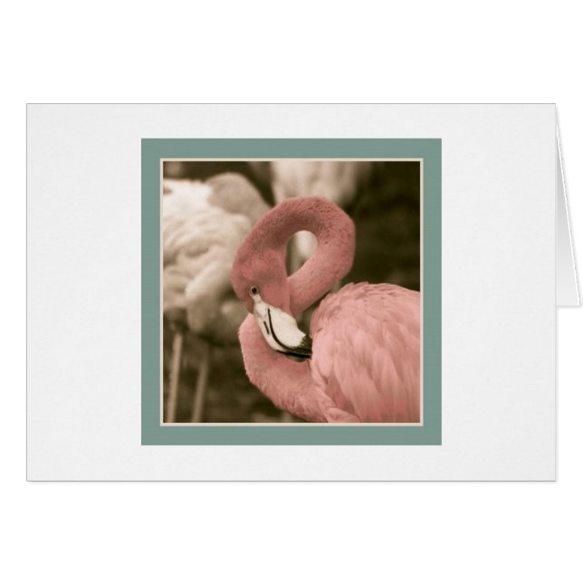 Flamingo (Devant horizontal)