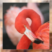 Flamingo 001 raamsticker (Vel 2)