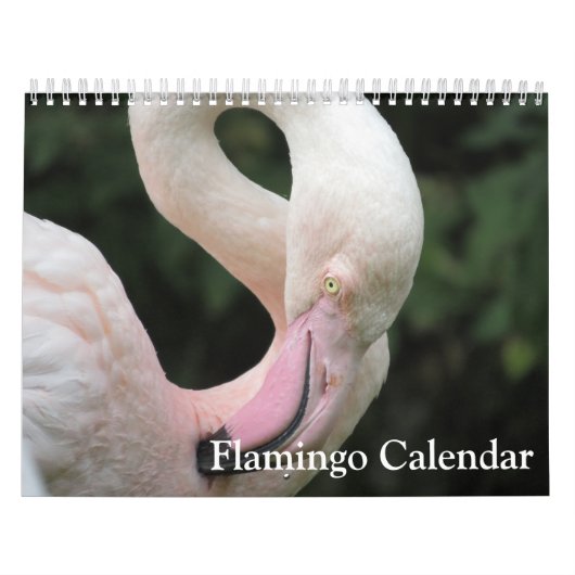 Flamingo 2025 kalender (Hoes)