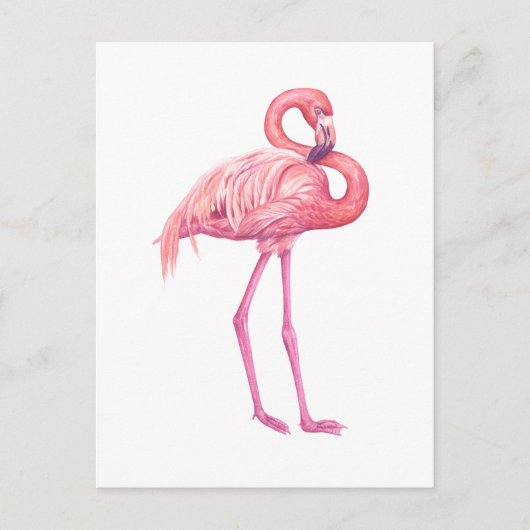 Flamingo 2 briefkaart (Voorkant)