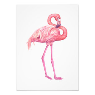 Flamingo 2 foto afdruk