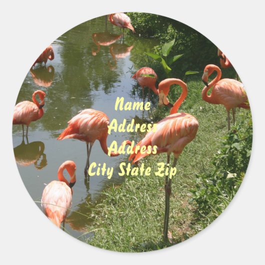 Flamingo Adreslabel Ronde Sticker (Voorkant)