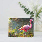 Flamingo ansichtkaart briefkaart (Staand voorkant)