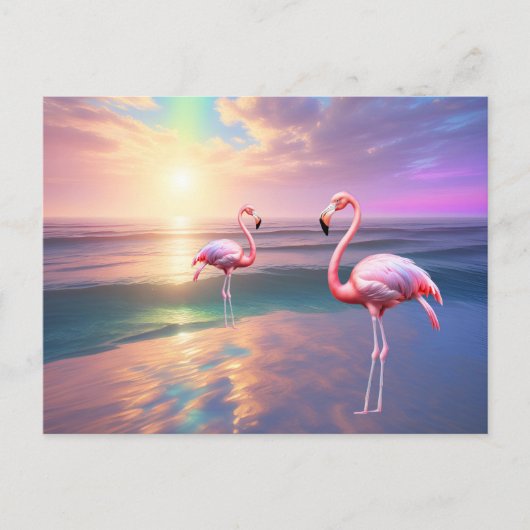 Flamingo Beach Briefkaart (Voorkant)