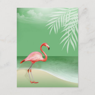 Flamingo Beach Ontvangst Details jade Kaart