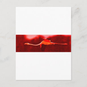 Flamingo Bird Briefkaart