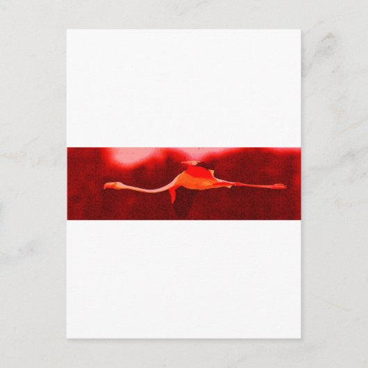Flamingo Bird Briefkaart (Voorkant)