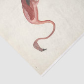 Flamingo Bird Ephemera Decoupage Tissuepapier (Detail)
