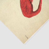 Flamingo Bird Ephemera Decoupage Tissuepapier (Detail)