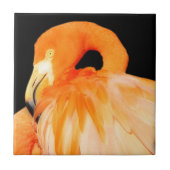 Flamingo Bird in Summer Sun Tegeltje (Voorkant)