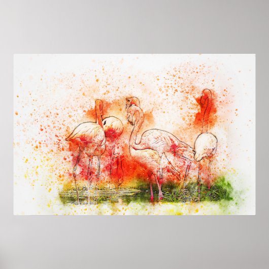 Flamingo Birds Poster (Voorkant)
