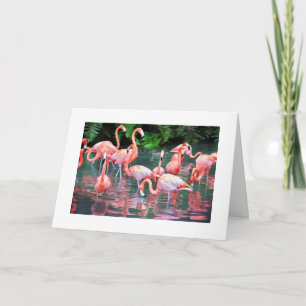 Flamingo Birthday-kaart Kaart