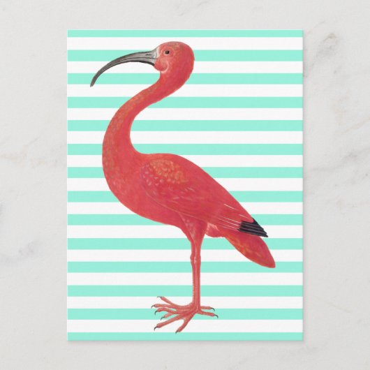 Flamingo & Blauwgroen strepen - het Fijne Briefkaart (Voorkant)