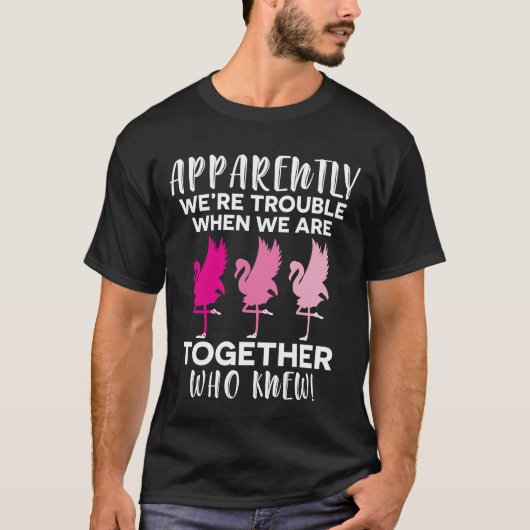 Flamingo Blijkbaar zijn we moeilijk als we samen z T-shirt (Voorkant)
