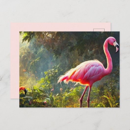 Flamingo briefkaart (Voorkant / Achterkant)