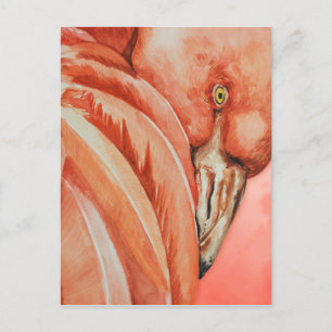 Flamingo Briefkaart