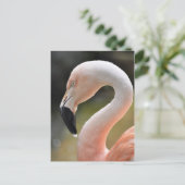 Flamingo Briefkaart (Staand voorkant)