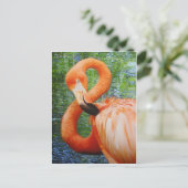 FLAMINGO BRIEFKAART (Staand voorkant)