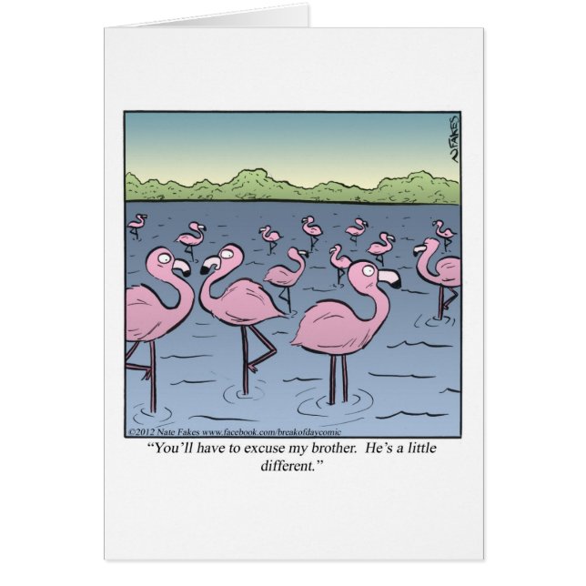 Flamingo Brother (Voorkant)