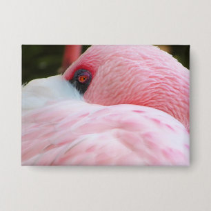 Flamingo Button