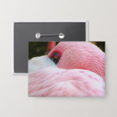 Flamingo Button (Voorkant / Achterkant)