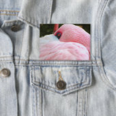 Flamingo Button (Insitu)