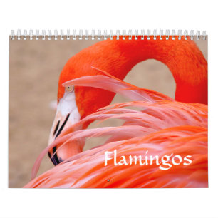 Flamingo Calendar Kalender