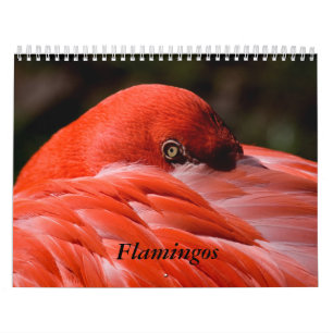 Flamingo Calendar Kalender